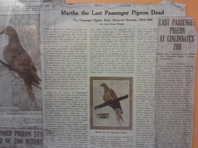 Passenger Pigeon Memorial