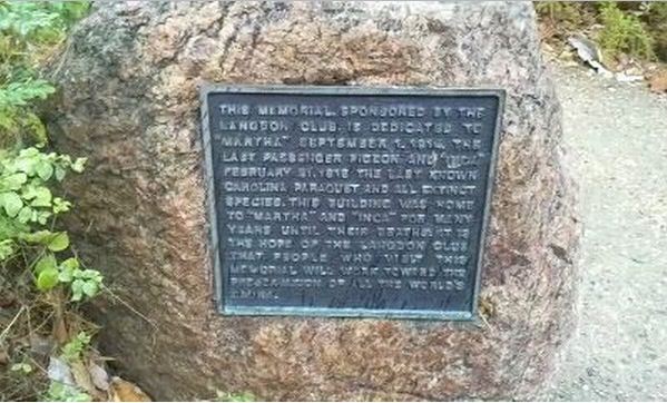 Passenger Pigeon Memorial