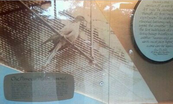 Passenger Pigeon Memorial