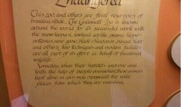 Passenger Pigeon Memorial