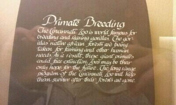 Passenger Pigeon Memorial