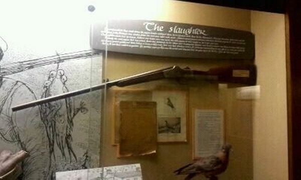 Passenger Pigeon Memorial