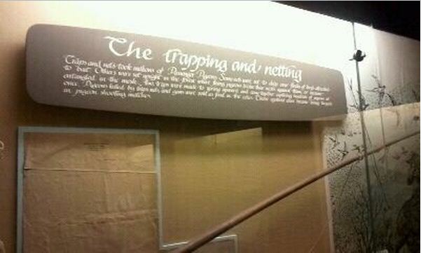 Passenger Pigeon Memorial