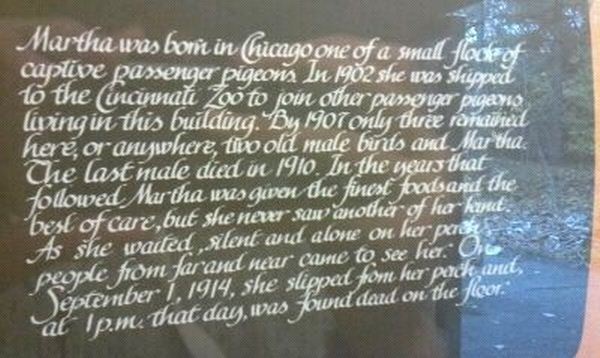 Passenger Pigeon Memorial