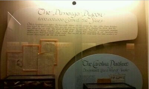 Passenger Pigeon Memorial