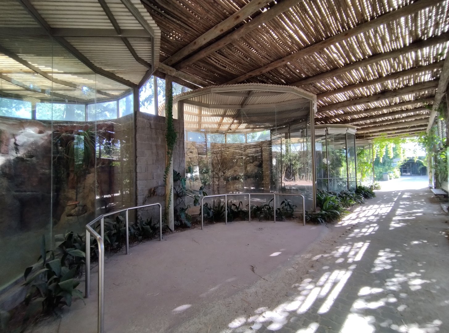 Passerine exhibits, Lugar de las aves - Temaiken