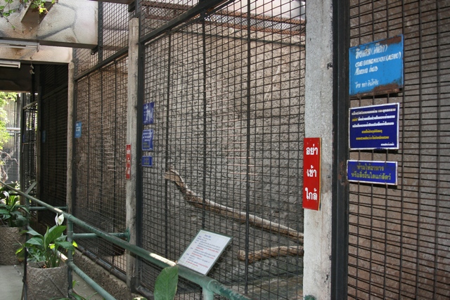 Pata zoo, Bangkok