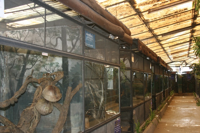 Pata zoo, Bangkok