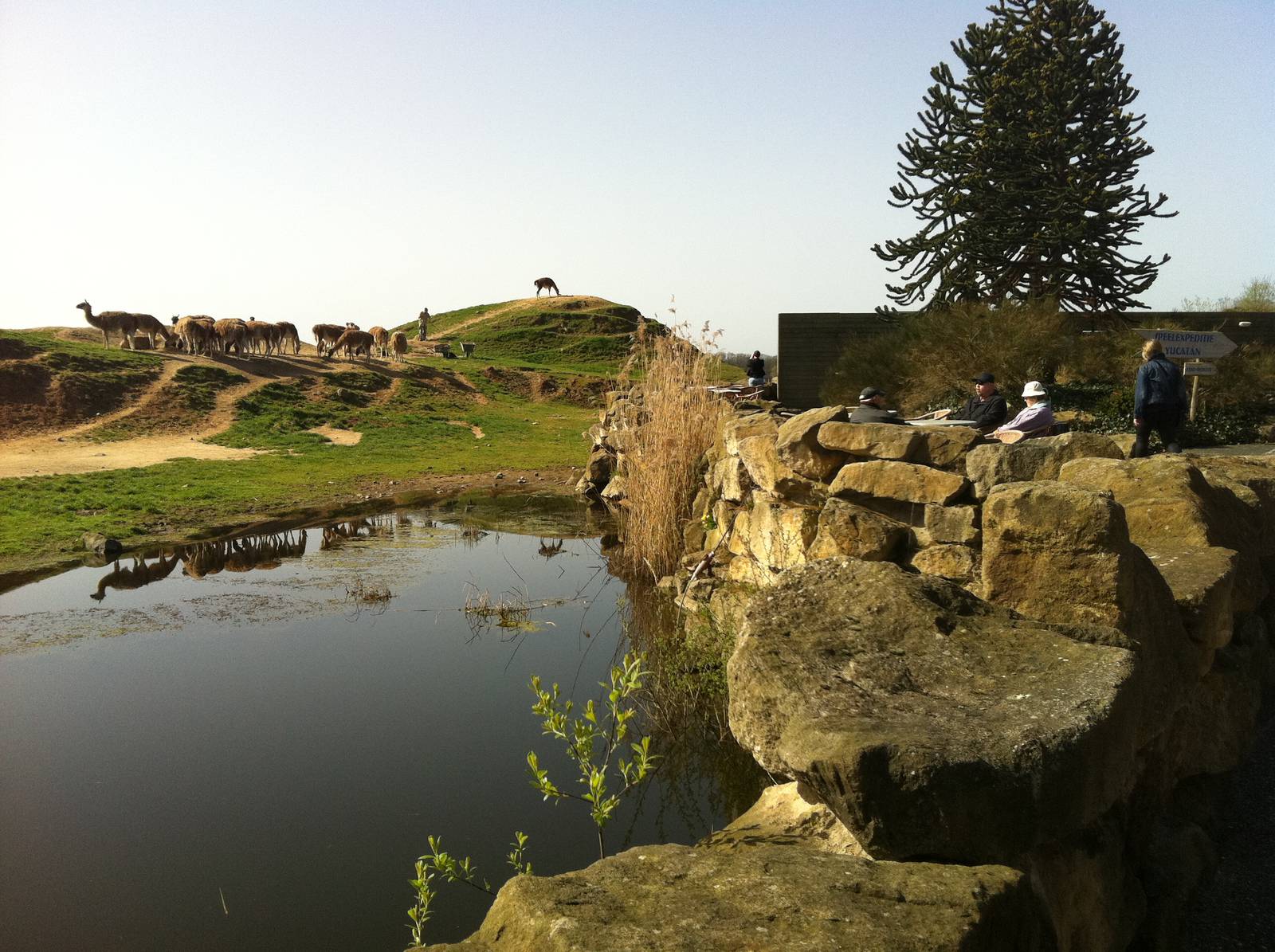 Patagonia at Emmen Zoo - April 2011