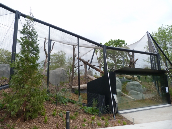 Patagonia; Cougar enclosure