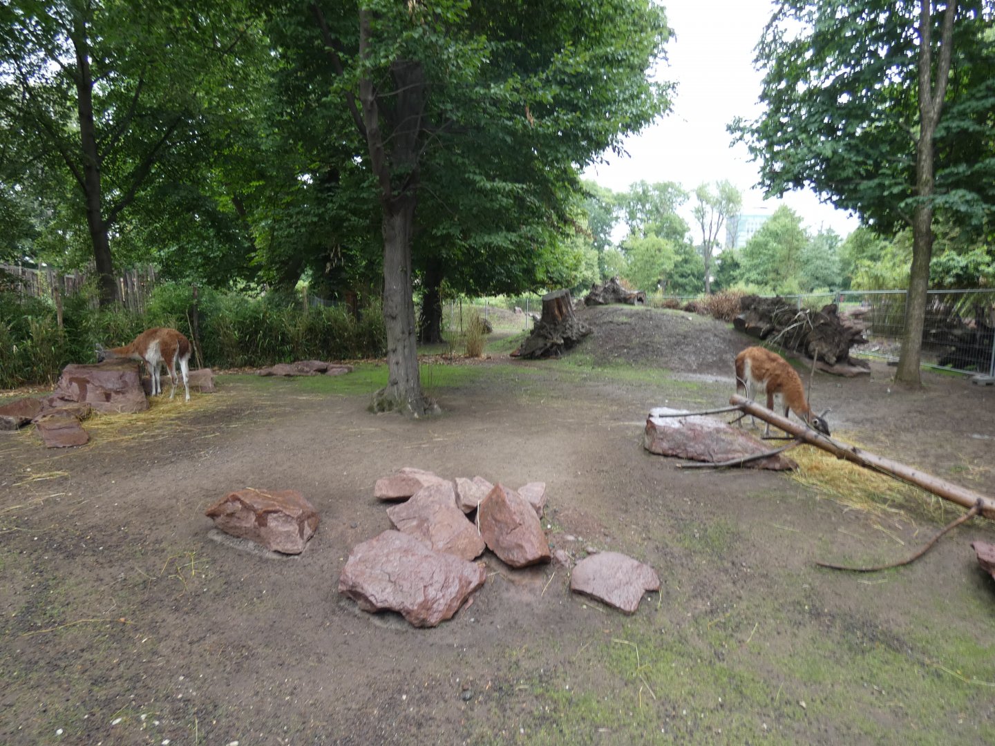 Patagonia exhibit in new South America exhibit