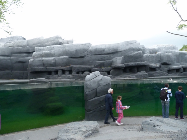 Patagonia; penguin enclosure