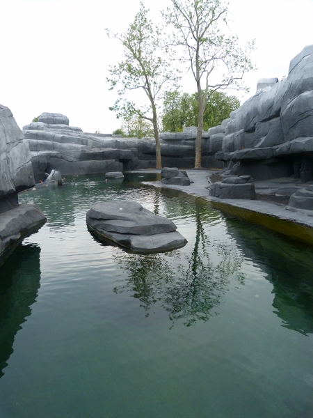 Patagonia; penguin enclosure