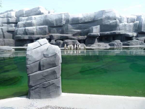 Patagonia; penguin enclosure