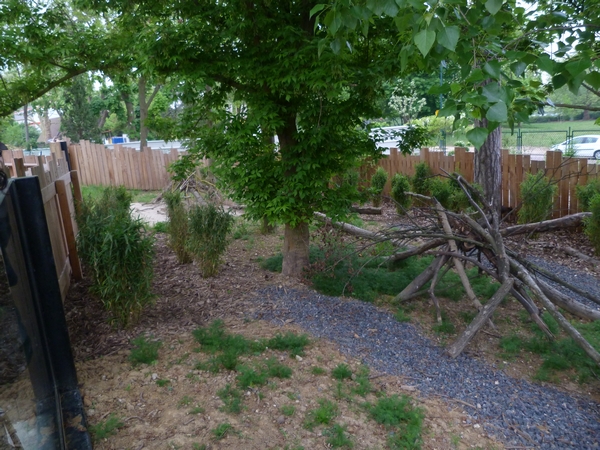 Patagonia; Pudu enclosure