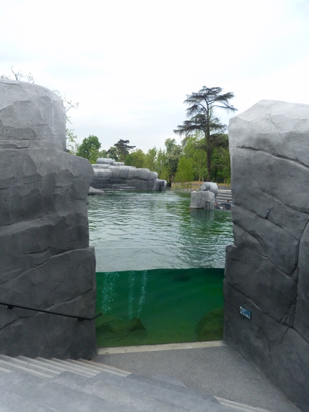 Patagonia; sea lion enclosure