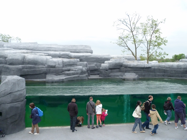 Patagonia; sea lion enclosure