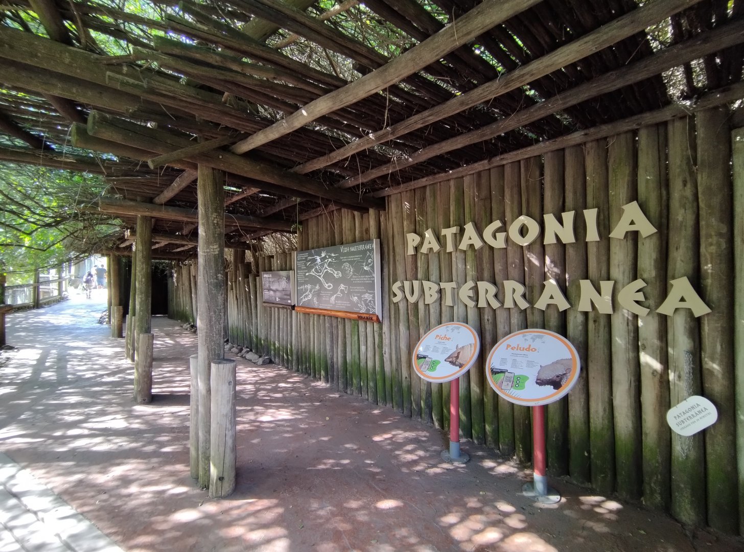 Patagonia subterranea - Temaiken