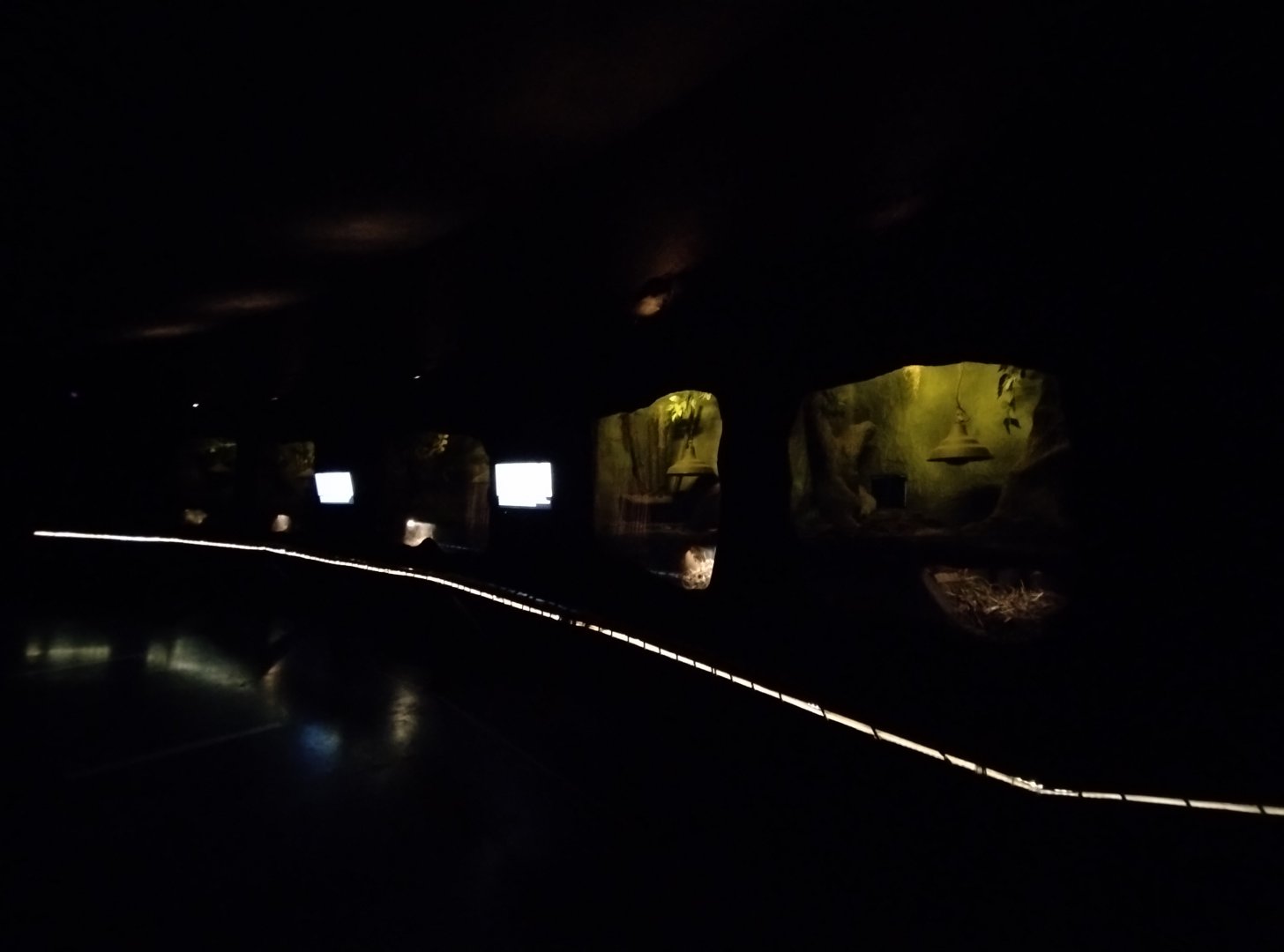 Patagonia subterranea - Temaiken