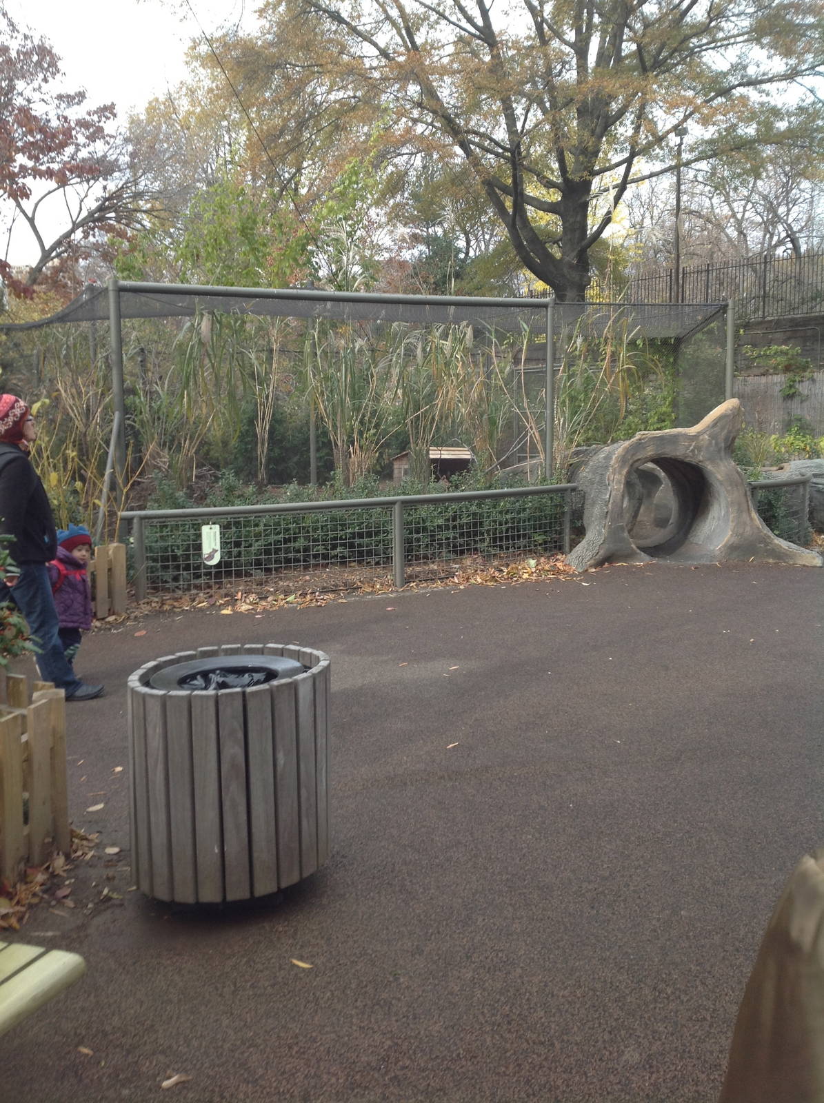 Patagonian Cavy exhibit