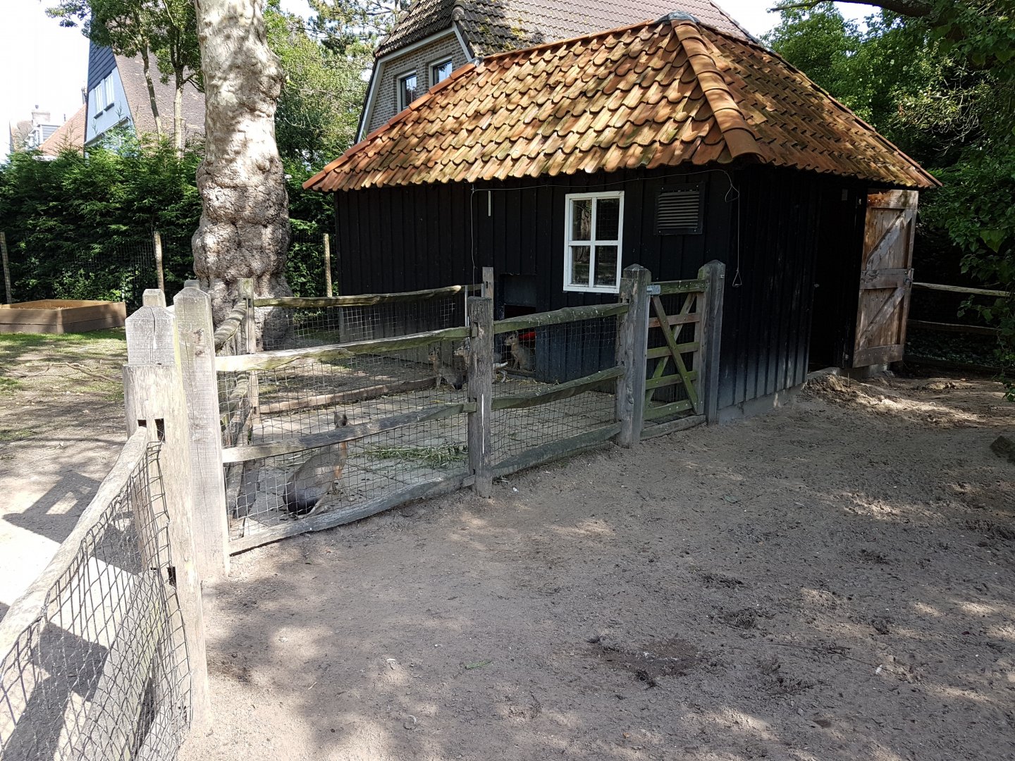 Patagonian cavy-seperation cage