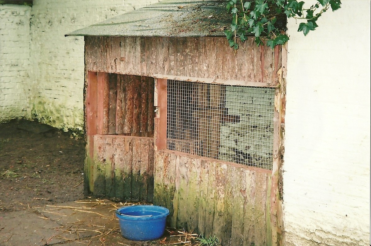 Patagonian Cavy shed, 25th November 2000