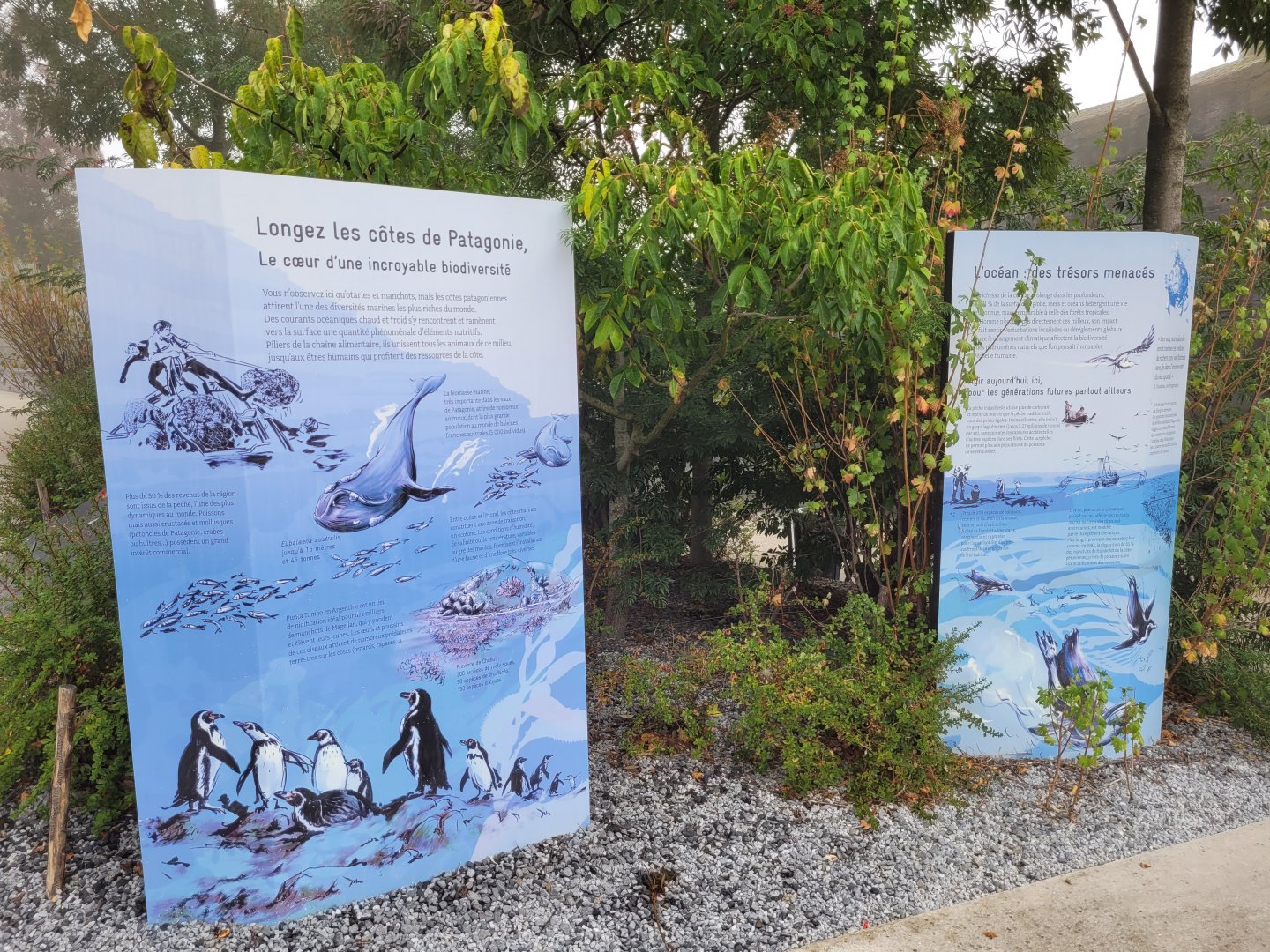 Patagonian coasts signs -Parc Zoologique de Paris (2022)