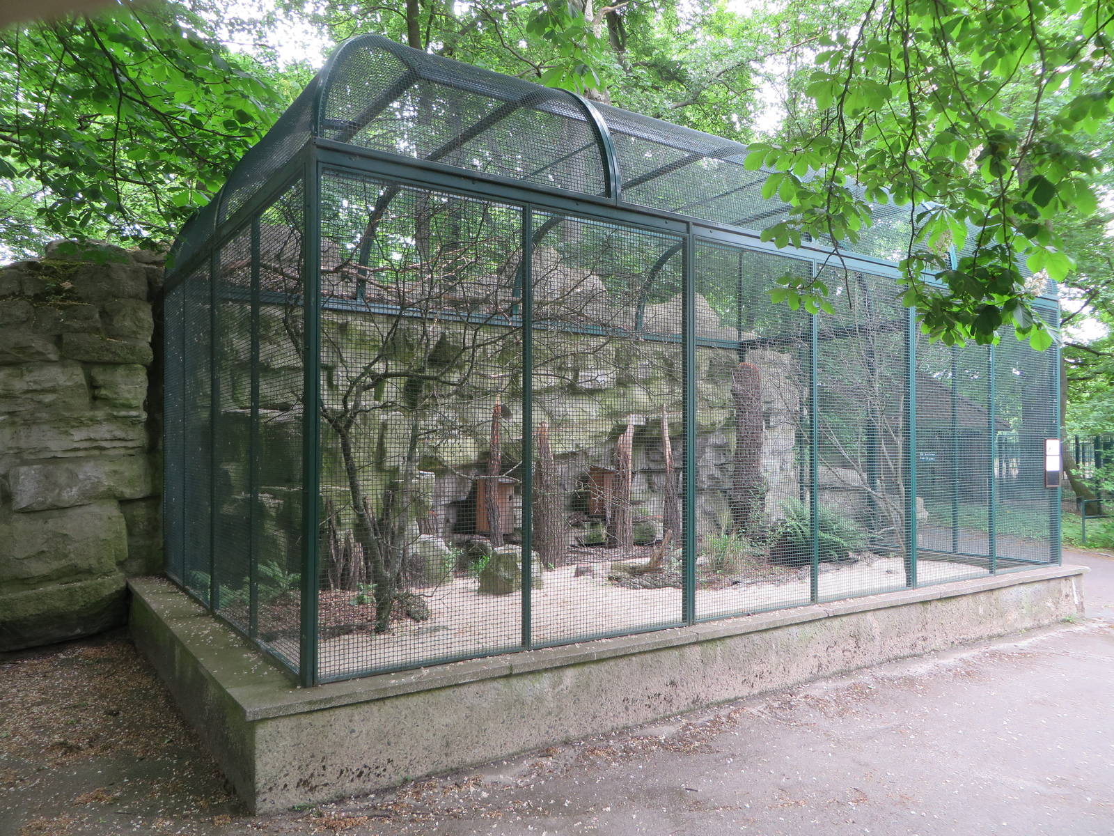 Patagonian concure aviary