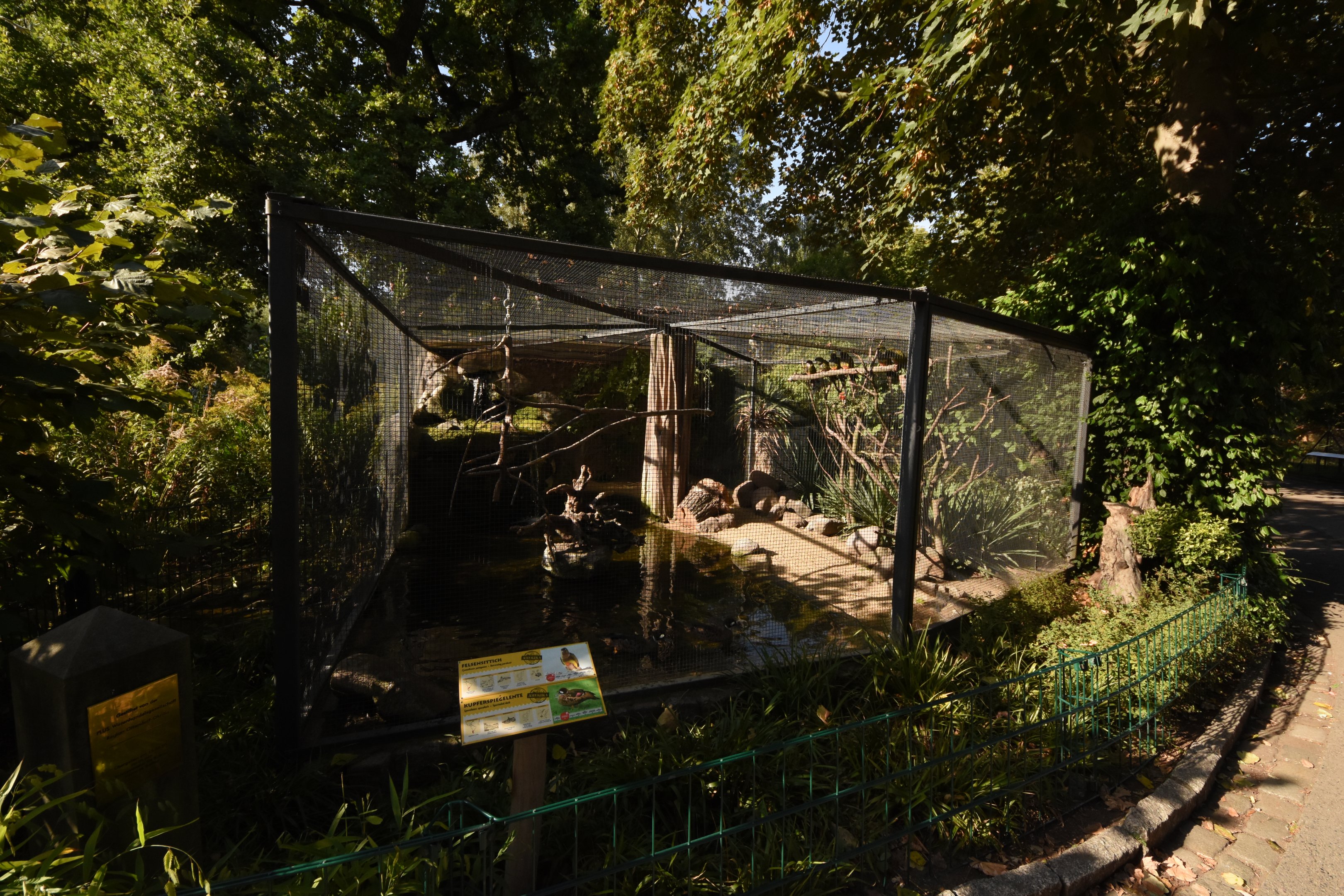 Patagonian conure aviary