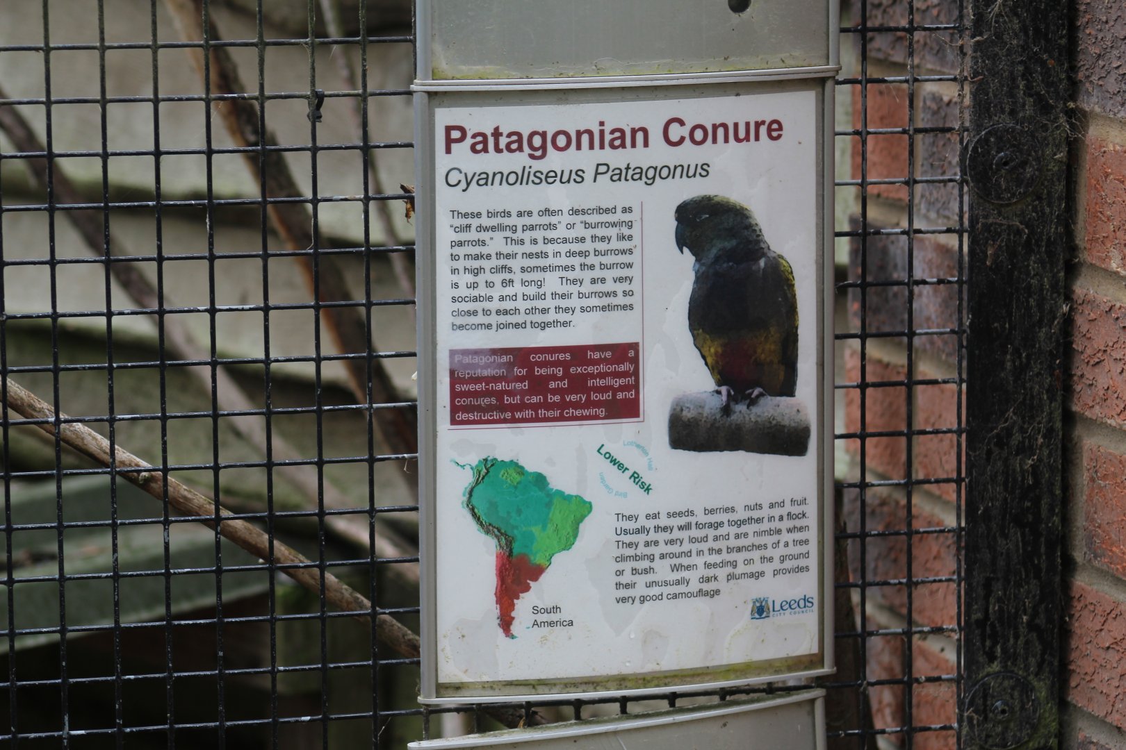 Patagonian Conure Signage