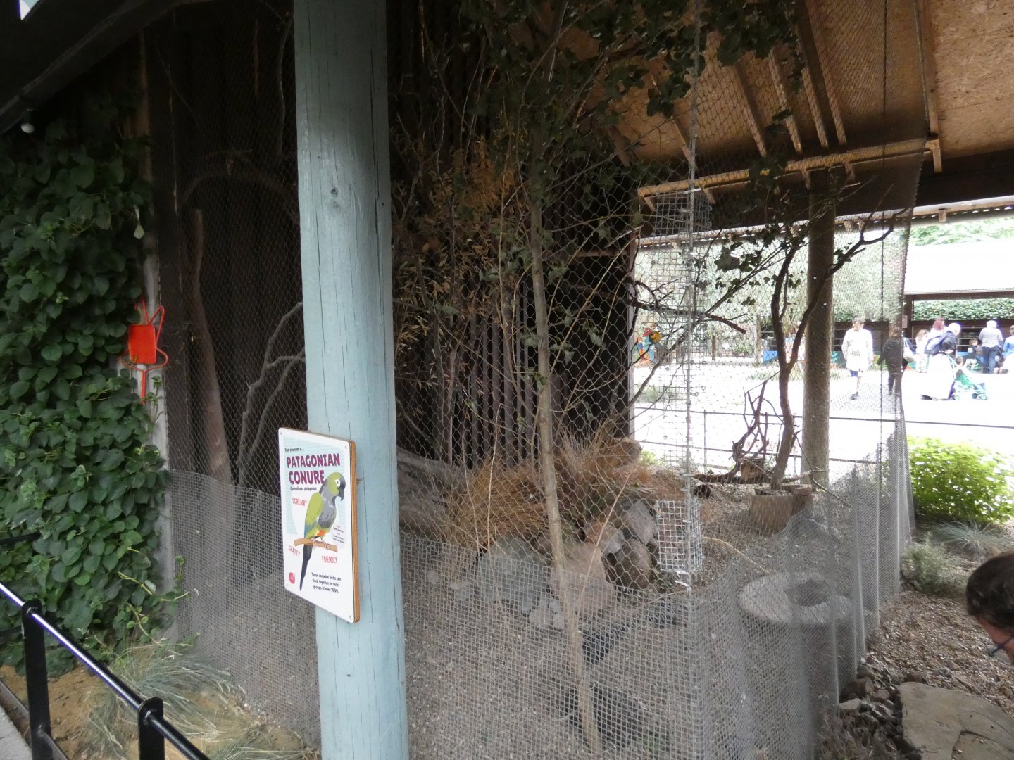 Patagonian macaw aviary