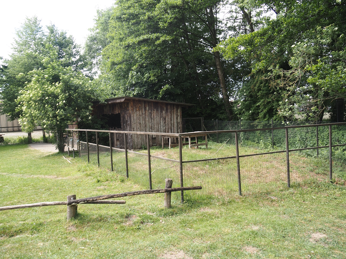 Patagonian mara barn and separation paddock, 2025-05-22