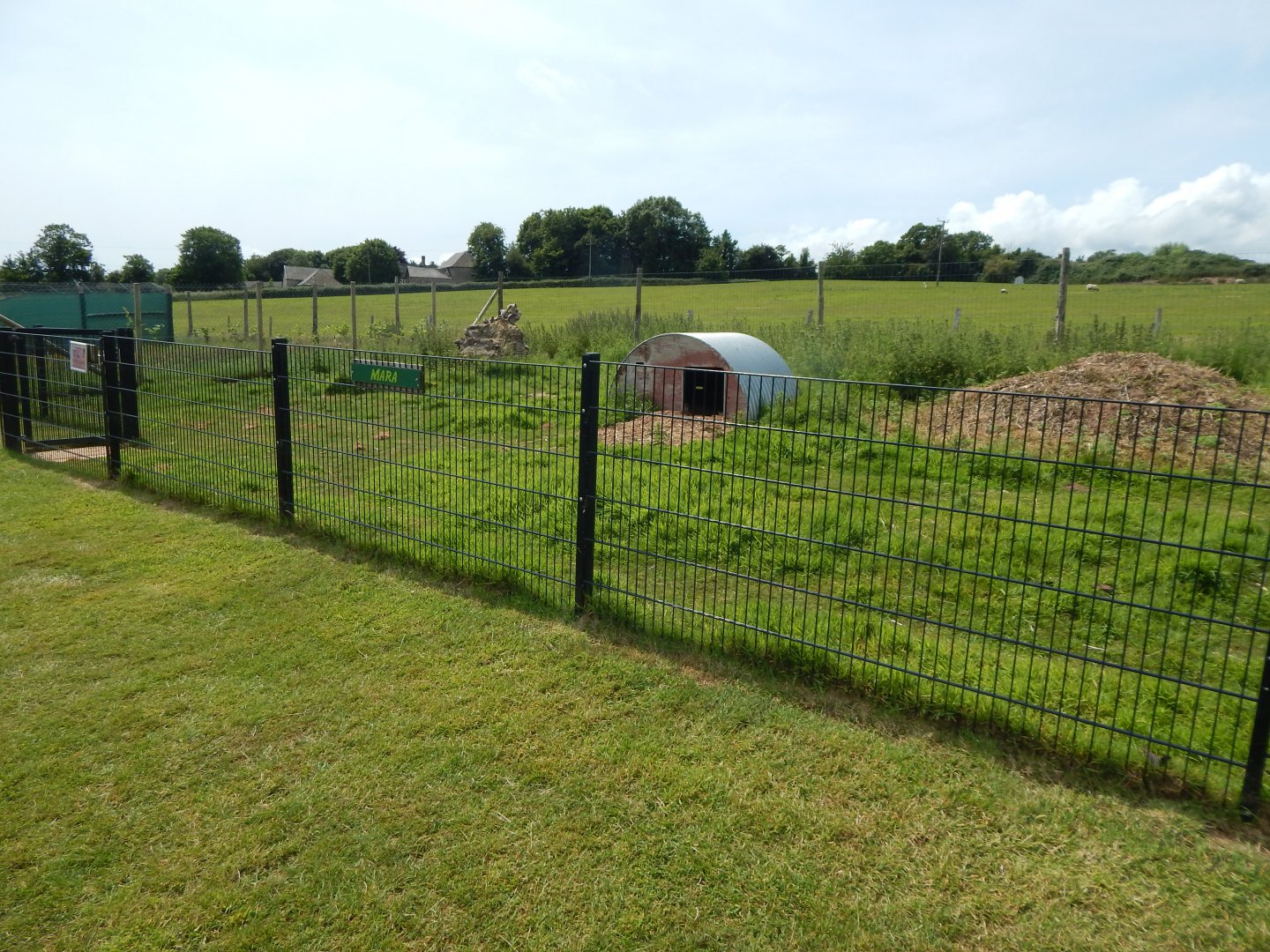 Patagonian mara enclosure 060625