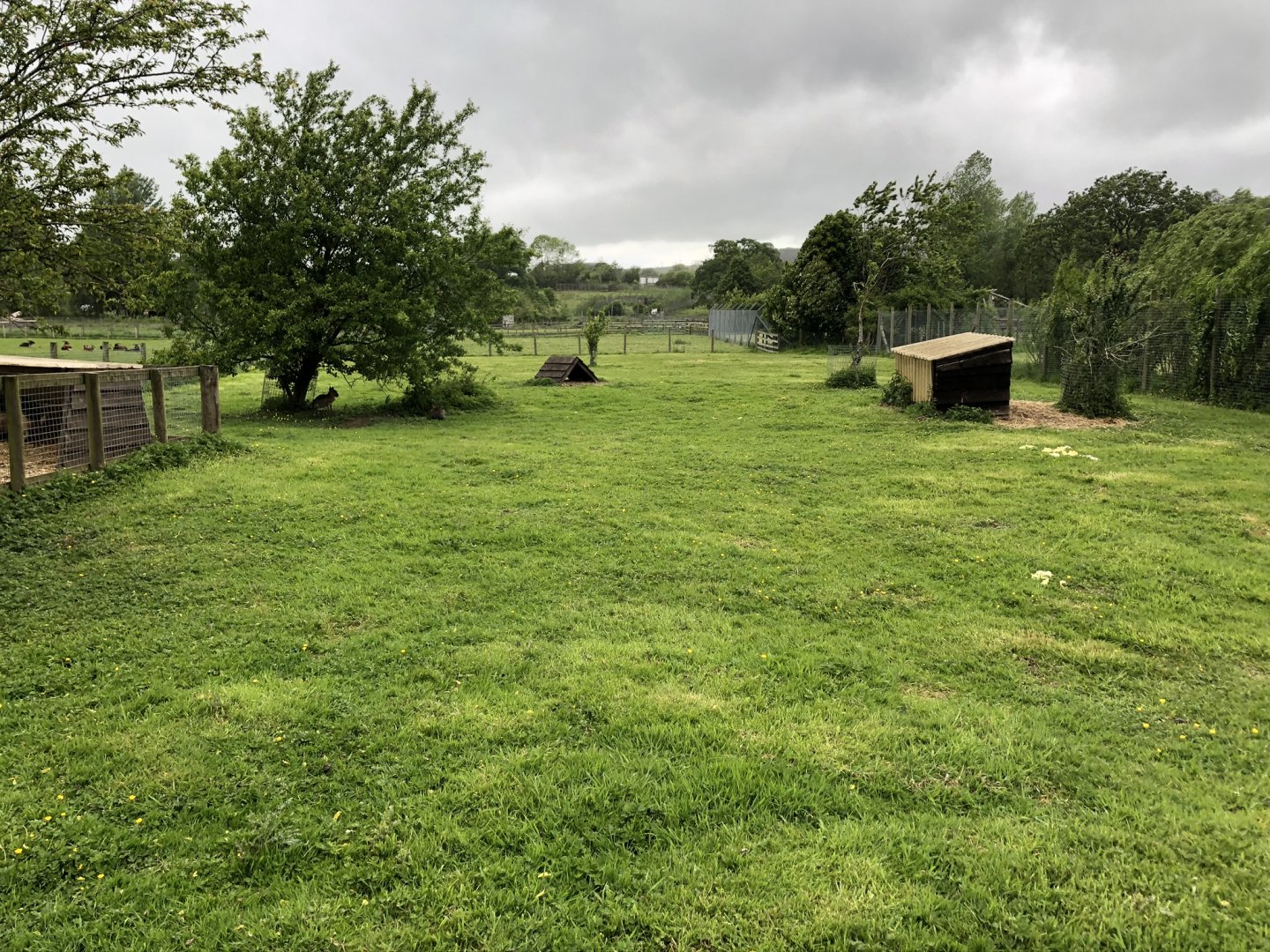 Patagonian Mara Enclosure at Lake District Wildlife Park (May 2019)