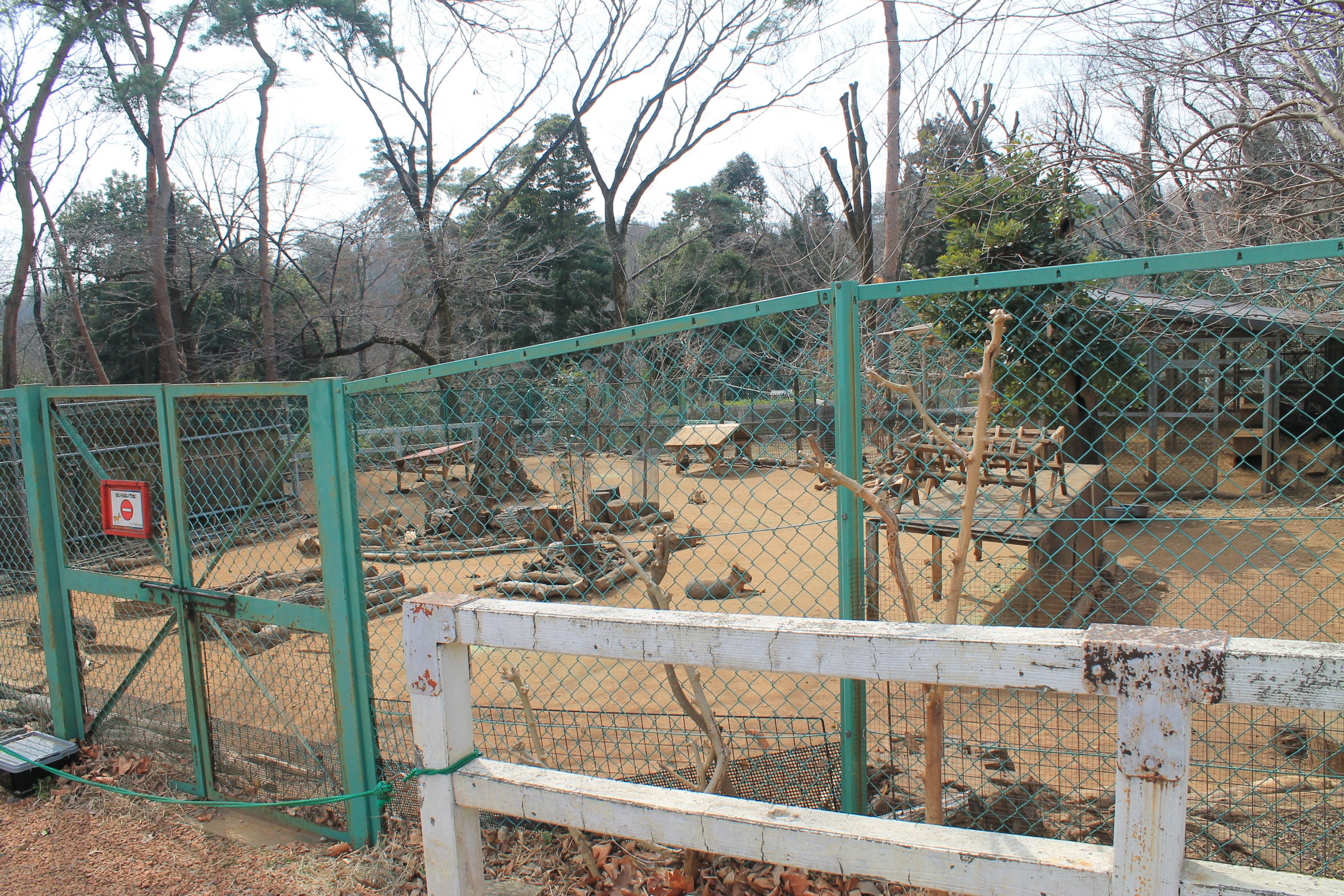 Patagonian Mara enclosure - Saitama Childrens Zoo