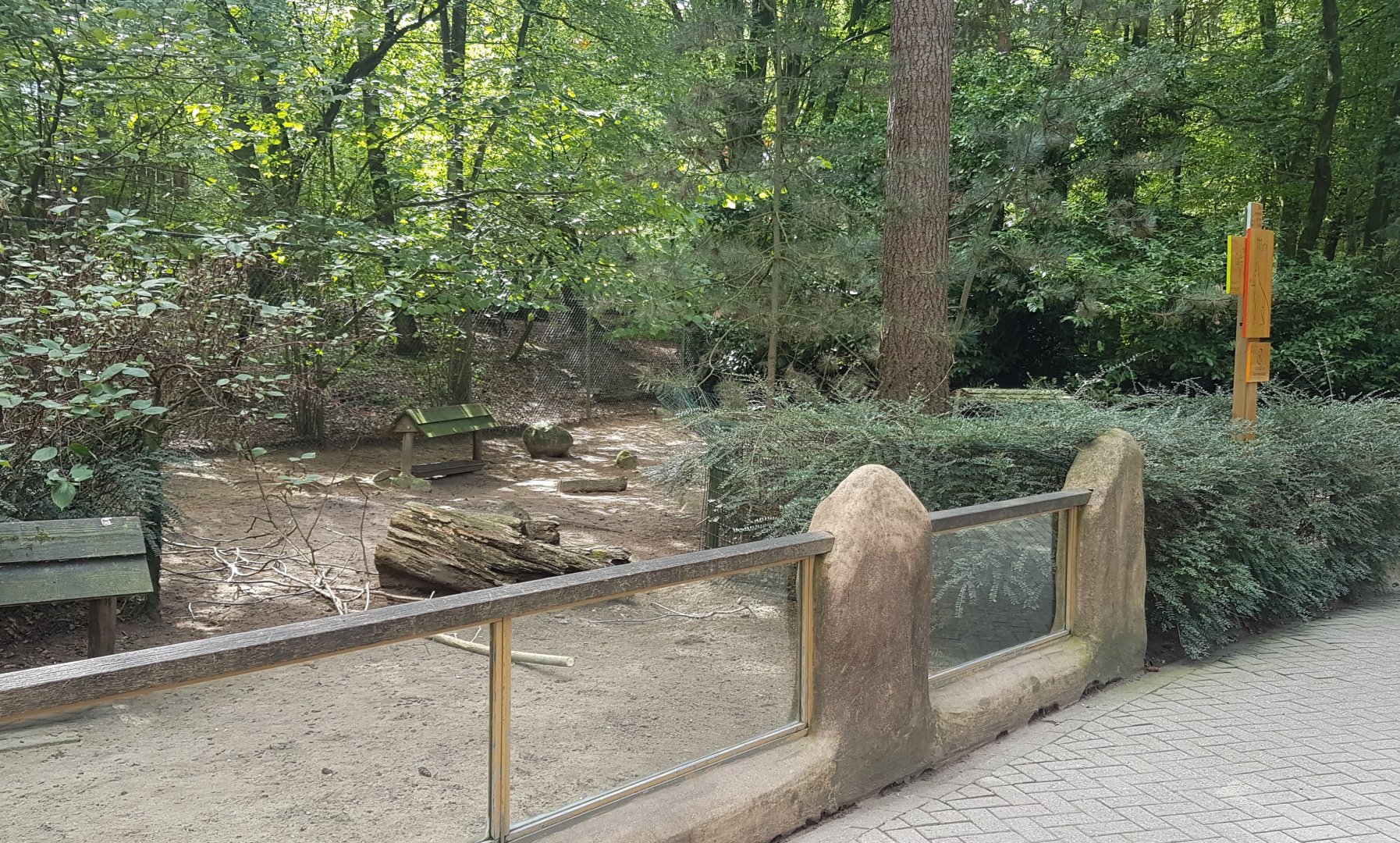 Patagonian mara enclosure