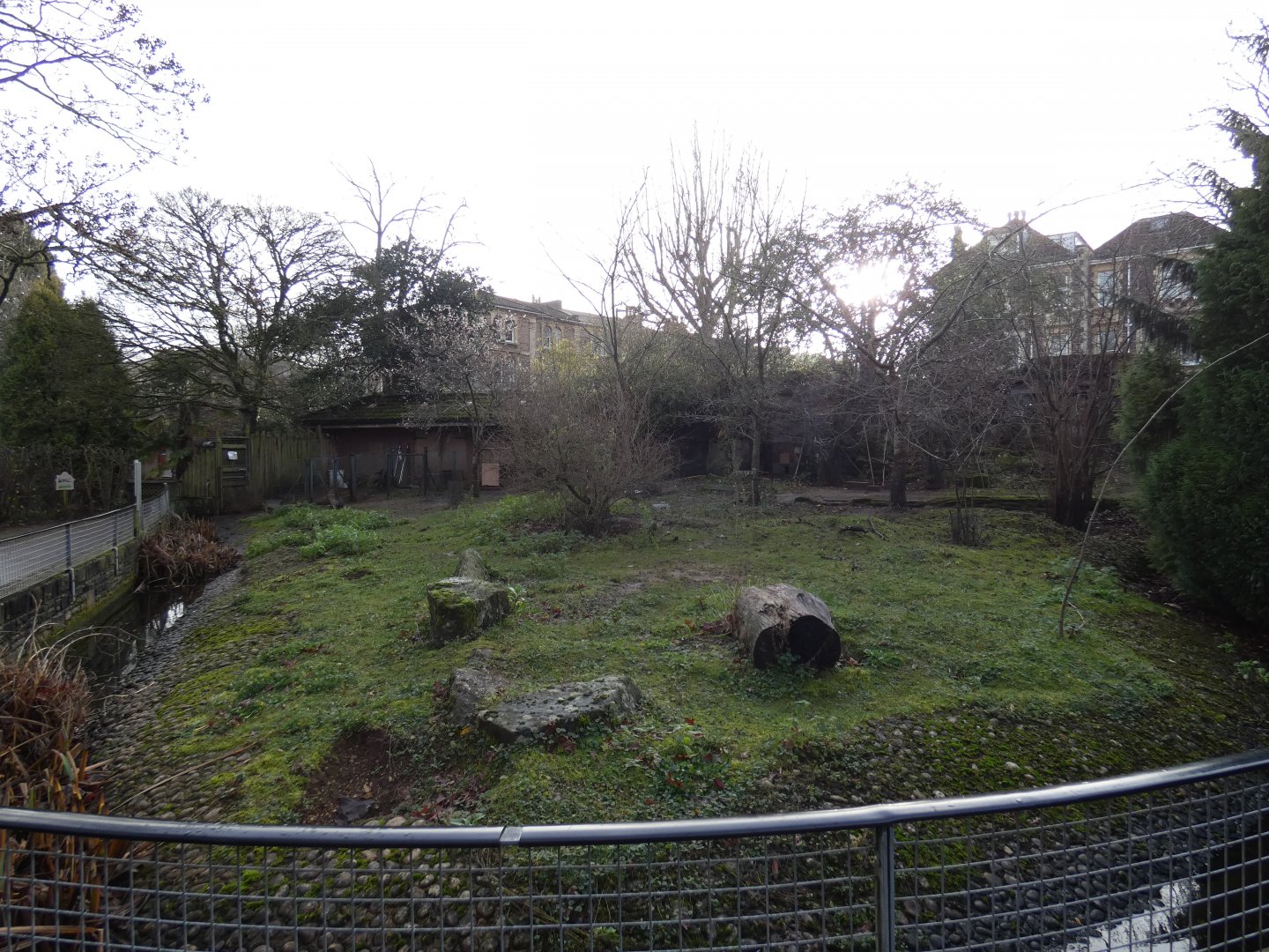 Patagonian mara enclosure