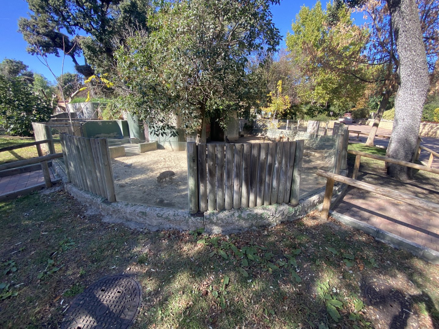 Patagonian Mara enclosure