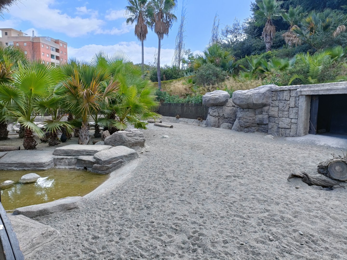 Patagonian mara exhibit - Crocodile park Torremolinos