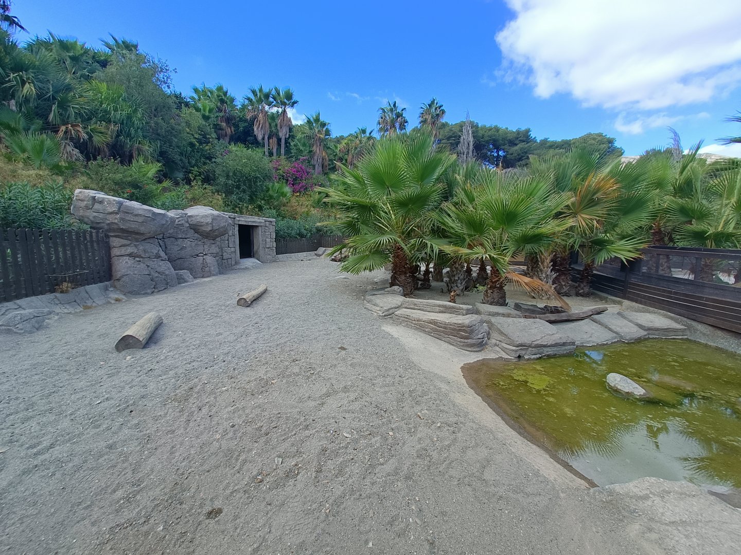 Patagonian mara exhibit - Crocodile park Torremolinos