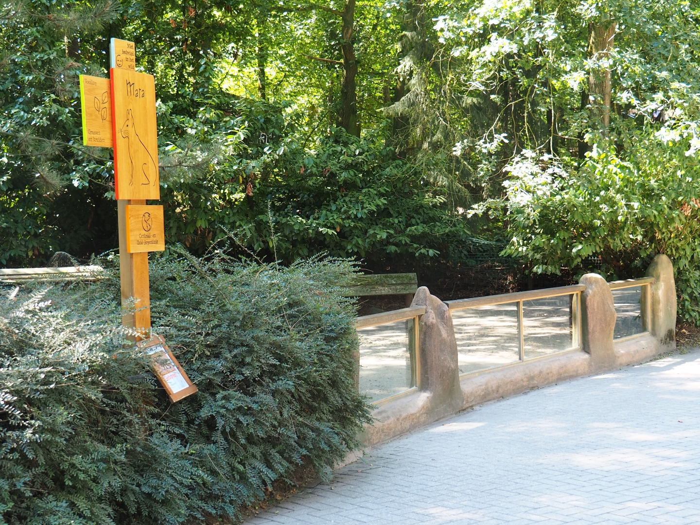 Patagonian mara exhibit