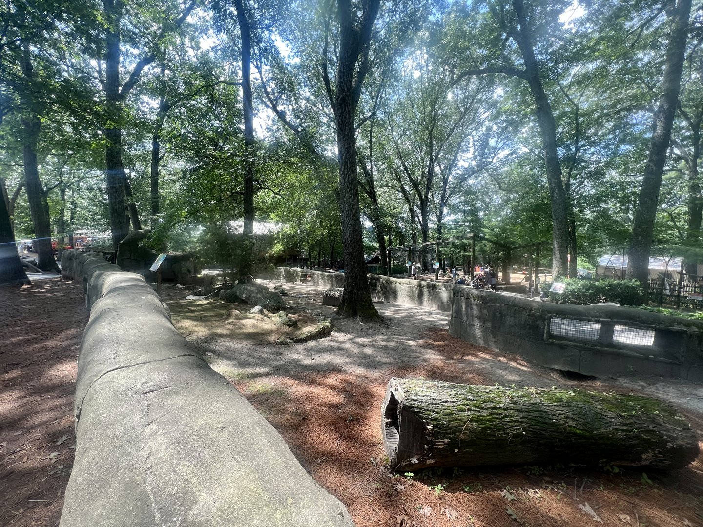 Patagonian Mara Exhibit