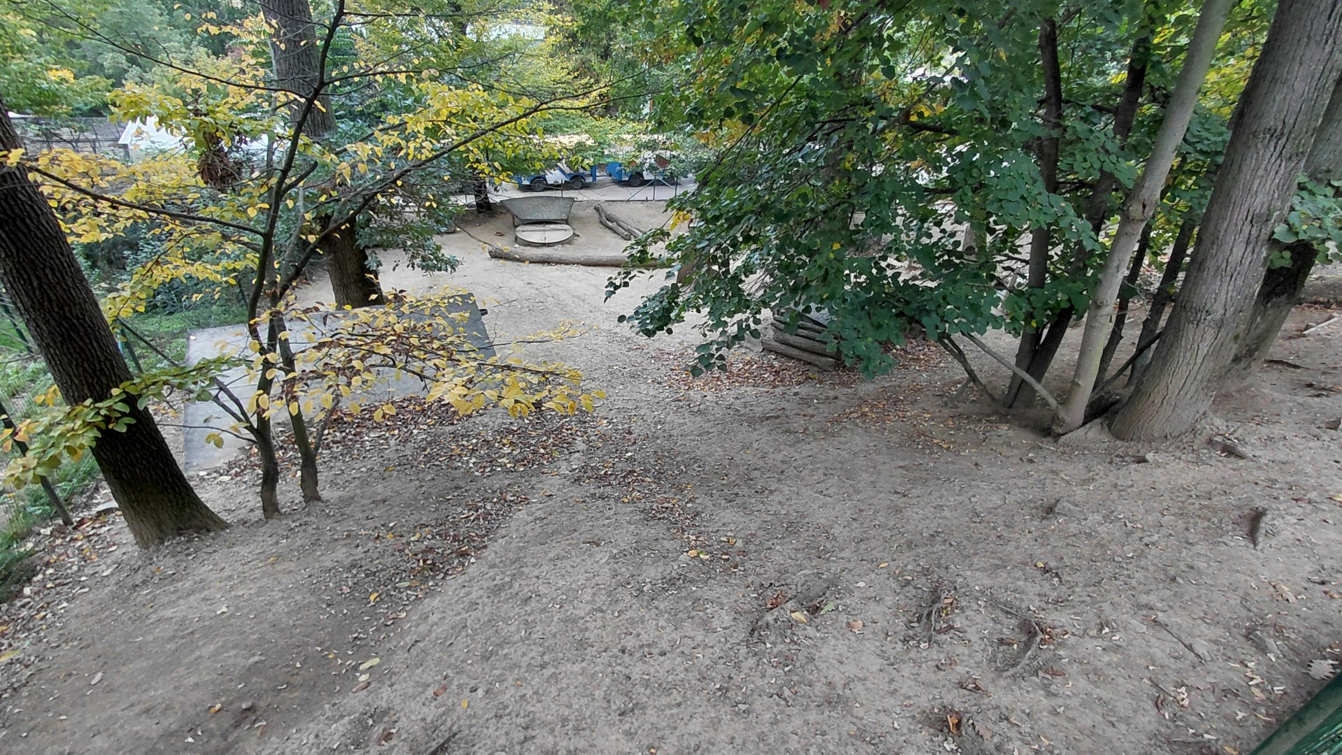 Patagonian mara exhibit