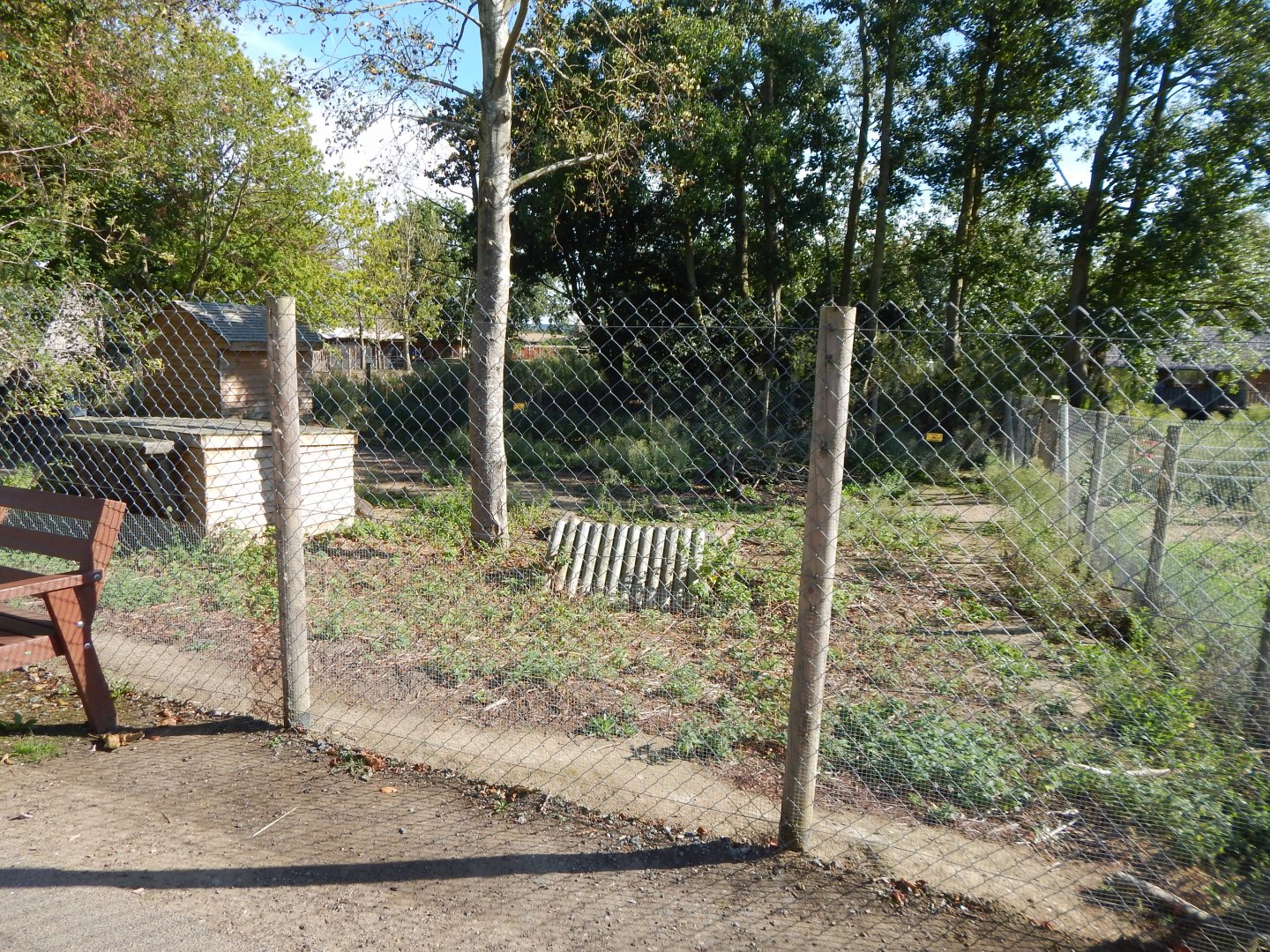 Patagonian mara habitat 030924