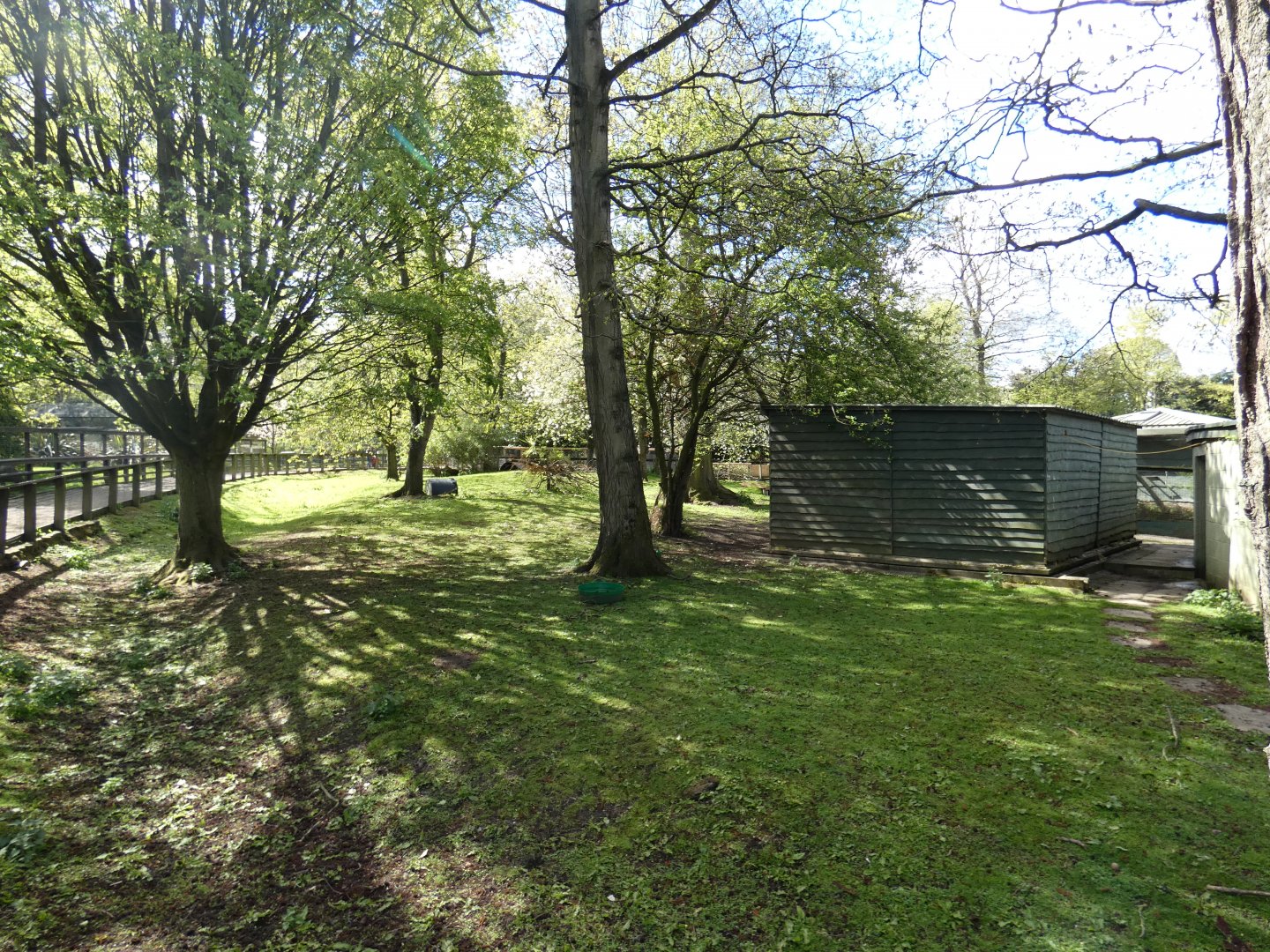 Patagonian mara, Kirk's dik-dik and Agouti enclosure