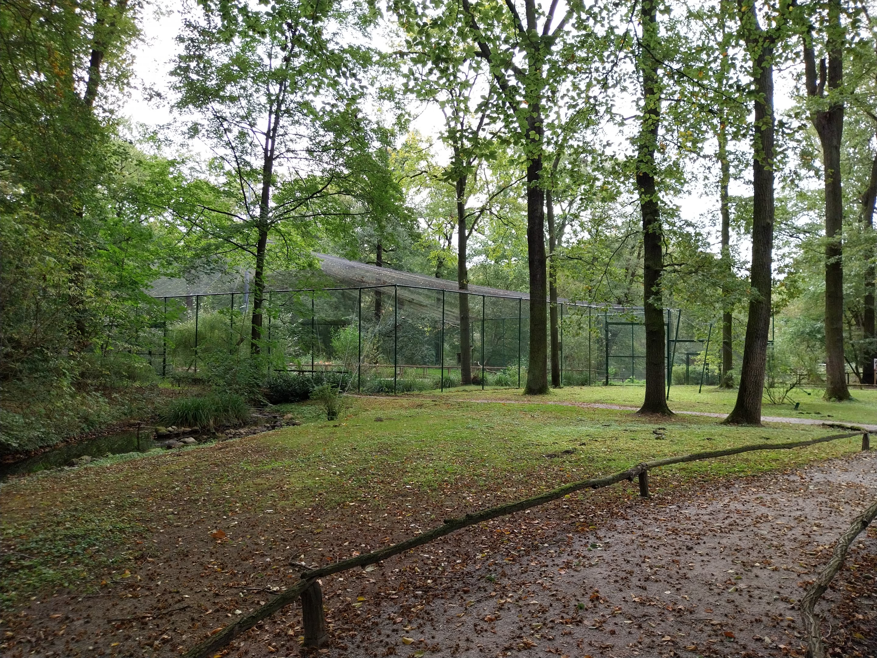 Patagonian Mara walk-through and Flamingo walk-through aviary