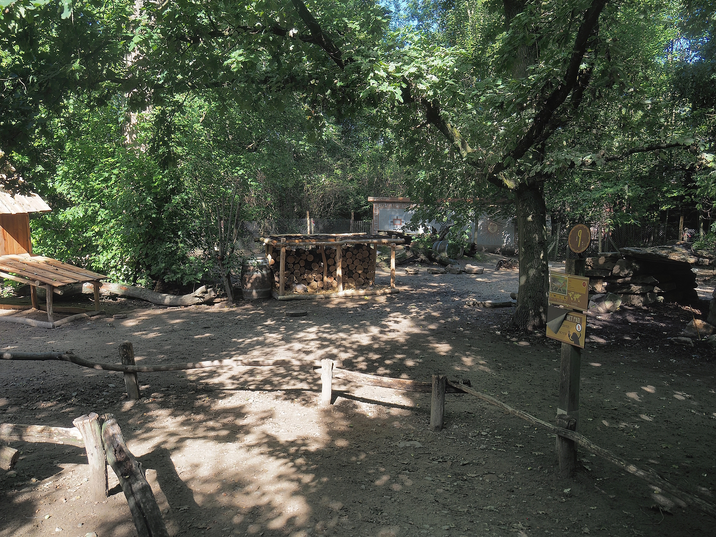 Patagonian mara walk-through exhibit, 2022-09-12