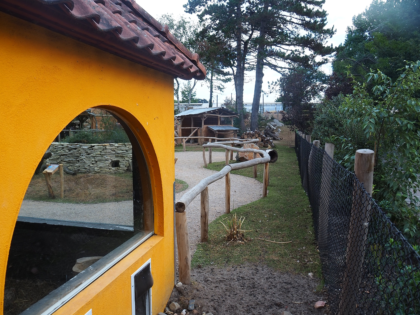 Patagonian mara walk-through exhibit and house, 2022-08-28