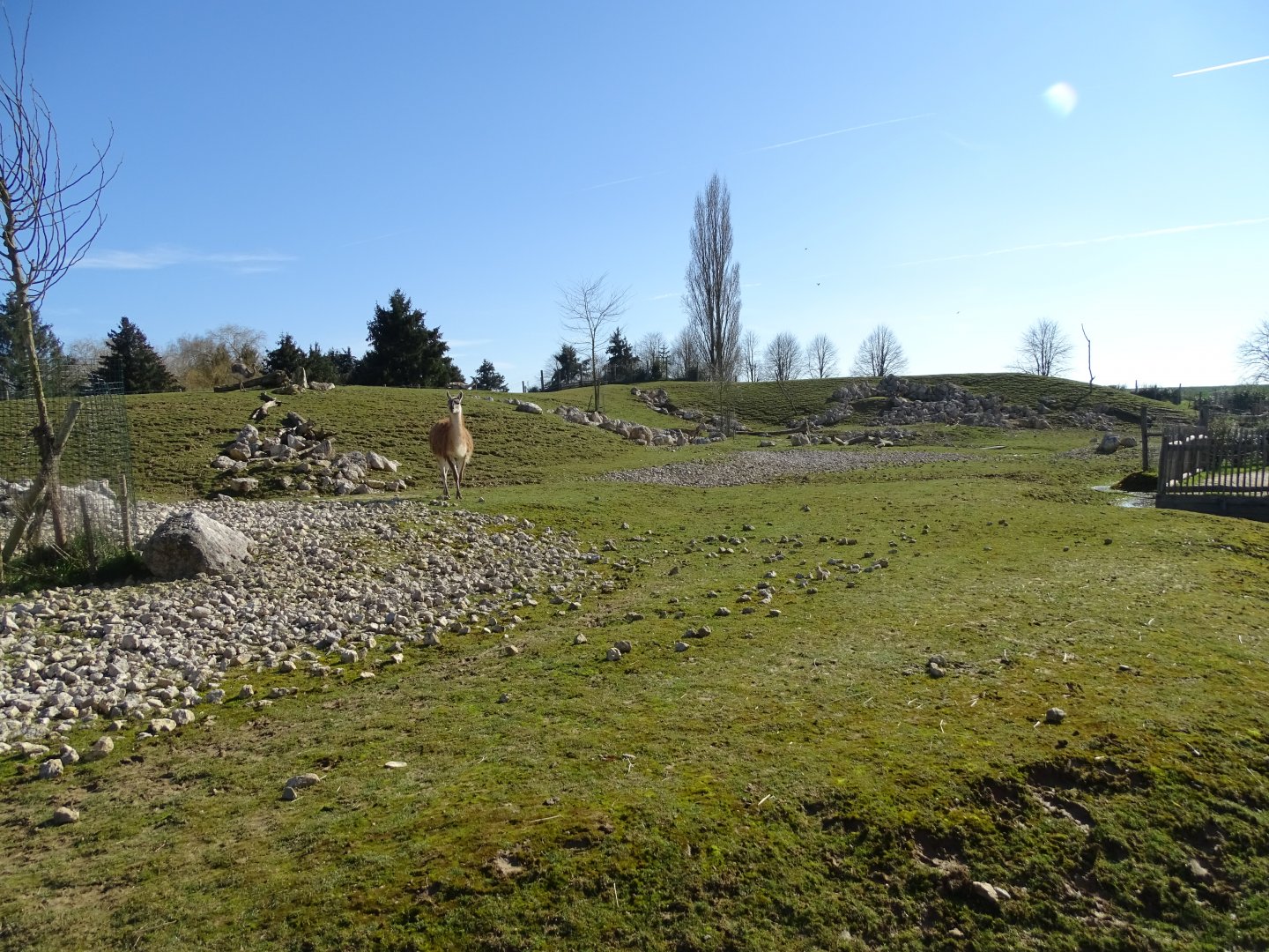 Patagonian plain exhibit