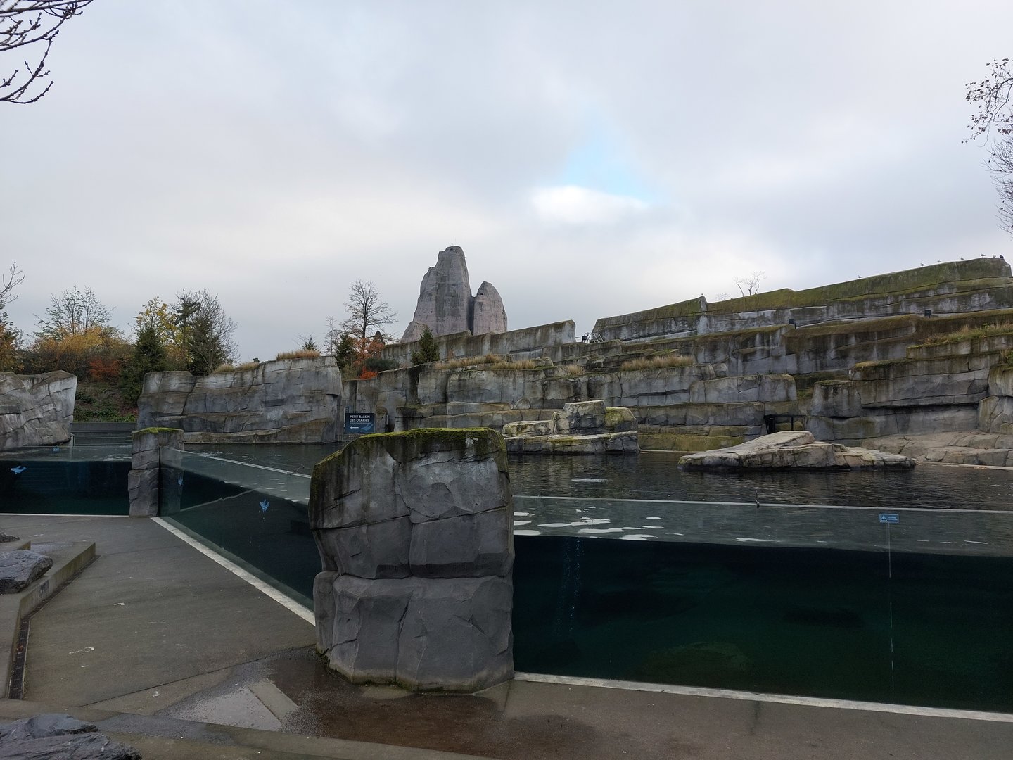 Patagonian sea lion and fur seal exhibit